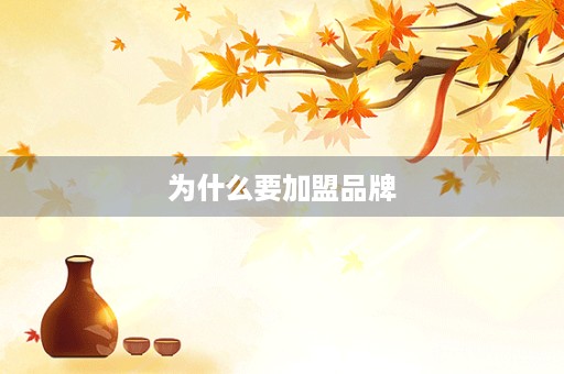 为什么要加盟品牌